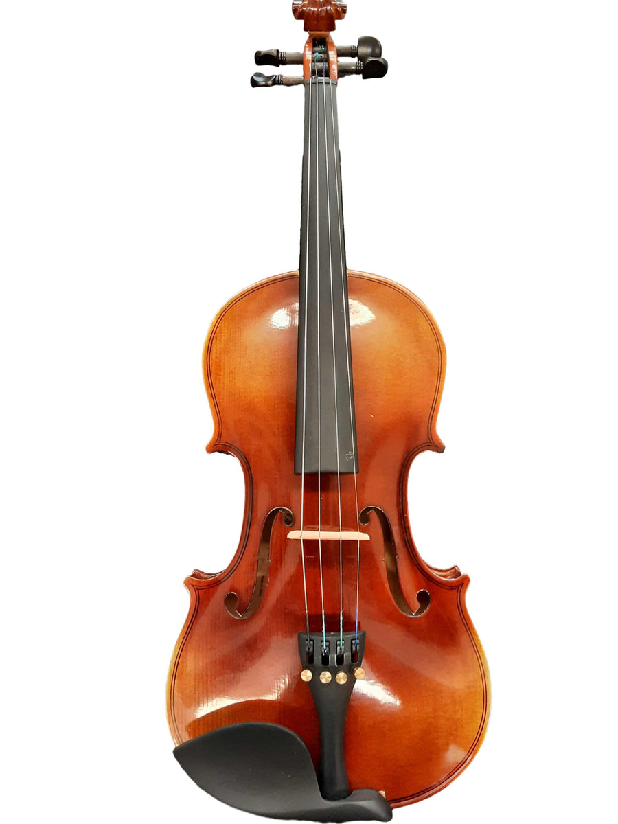 Aileen Vg002hpg Brown Violin