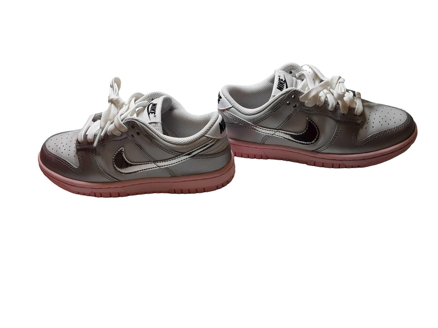 Nike Hm3698-006 Silver
