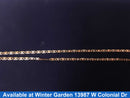 Gucci Chain - Yellow Gold 14k (.585) 9.2 grams 24 inch