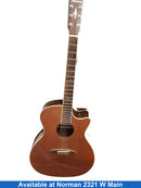 Alvarez E20051137 Beige / Tan Acoustic / Electric Classic Guitar