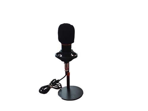 Tenlamp Black Corded Microphone