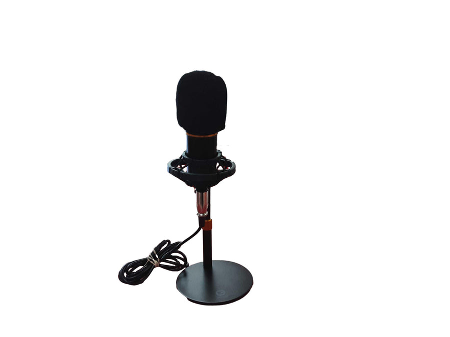 Tenlamp Black Corded Microphone