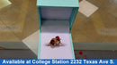 Women's Ring - Yellow Gold 10k (.417) 3 grams Size 7.5