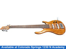 Brown Bass Guitar
