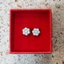 Double Stud Earring - Silver 3.4 grams