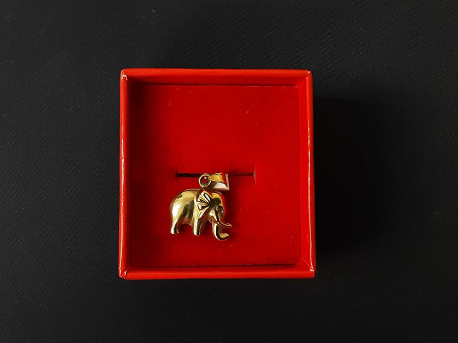 Pendant - Yellow Gold 10k (.417) 1 grams