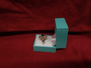 Women's Ring - Yellow Gold 14k (.585) 8.4 grams Size 10