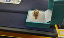 Women's Ring - Yellow Gold 22k (.917) 3.7 grams Size 8.5