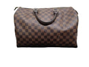 Louis Vuitton Speedy Brown Purse / Handbag