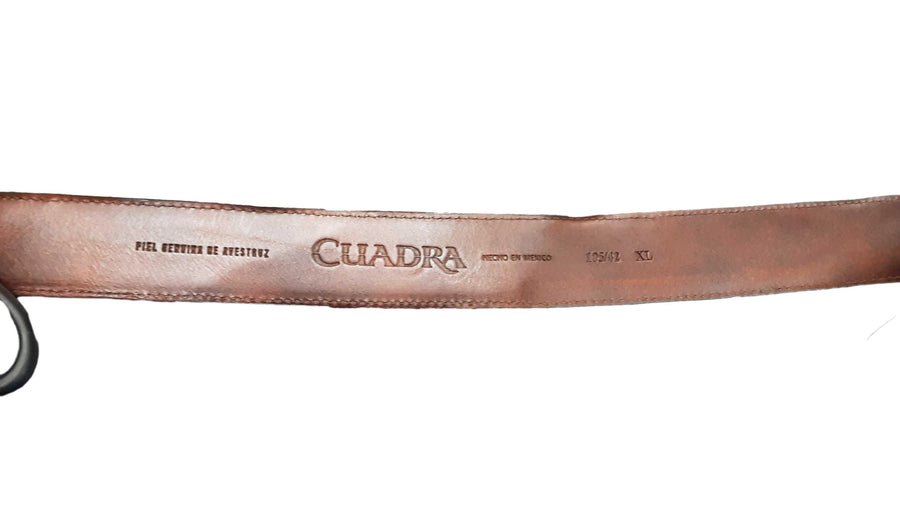Cuadra Xl Brown Belt / Buckle