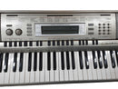 Casio Wk200 Gray