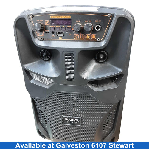 Saeapu Ttd-8250 Black Portable Speaker