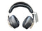 Sony Camo Gaming Headset