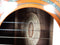Washburn Ea15atb-a Beige / Tan Acoustic / Electric Classic Guitar