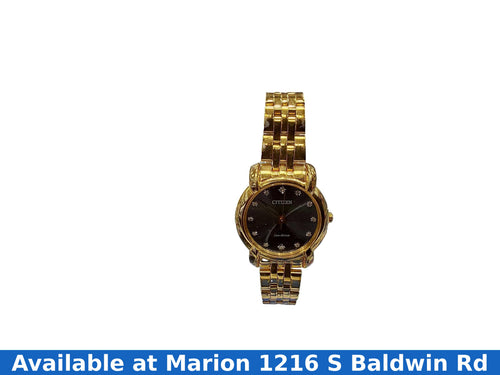 Citizen E031-s116007 Gold Regular Watch