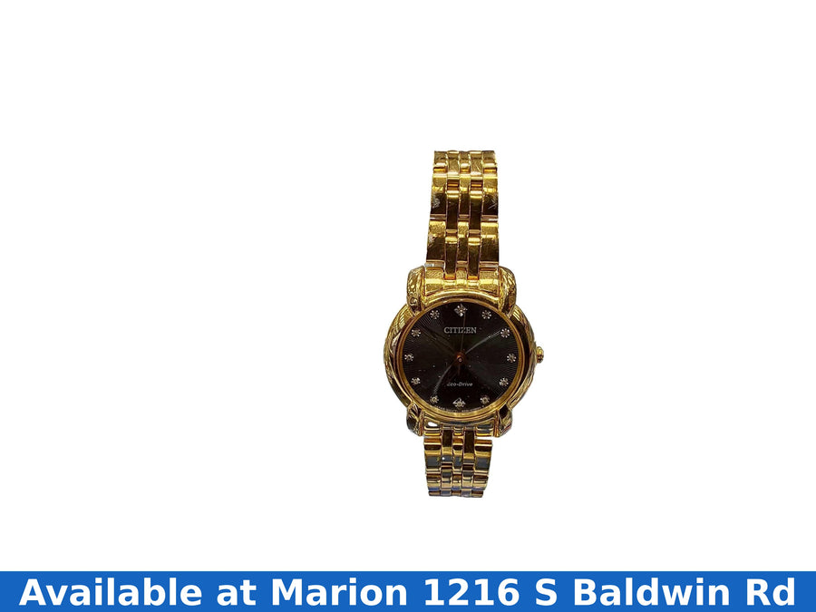 Citizen E031-s116007 Gold Regular Watch
