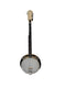 Gold Tone Brown Banjo