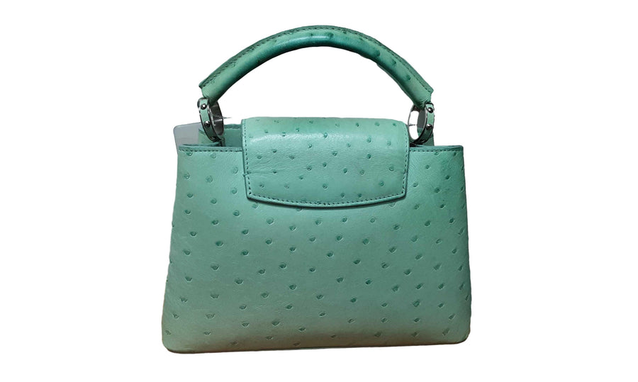 Louis Vuitton Capucines Green