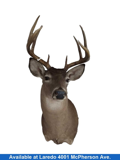 Deer 502p Beige / Tan