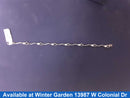Bracelet - White Gold 10k (.417) 3.6 grams 7 inch