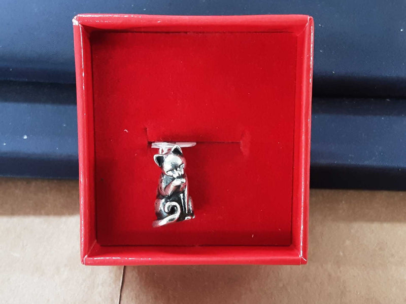Silver 6.3 grams