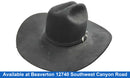 Resistol Felt Cowboy Hat Black Hat