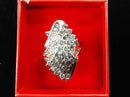 Women's Ring - Yellow Gold 10k (.417) 9.8 grams Size 8