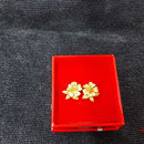 Earrings - Yellow Gold 22k (.917) 5.3 grams