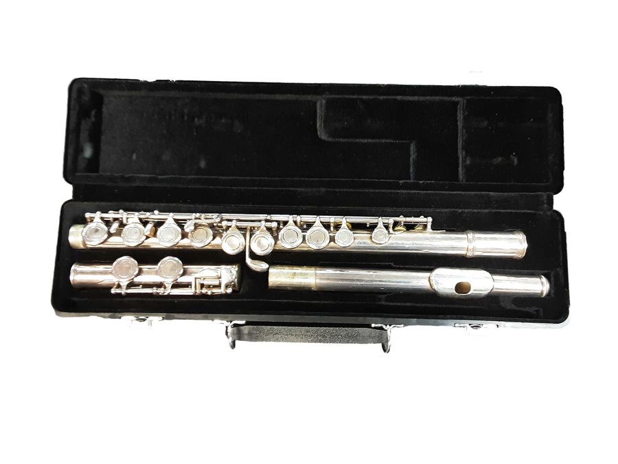 Giardineli Gfl-301 Silver Flute