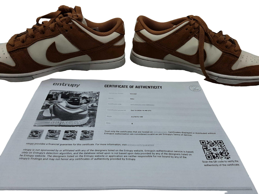 Nike Hj7673-100 Brown