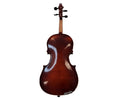 Hermann 165 Brown Violin