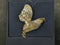 Yellow Gold 10k (.417) 14 grams