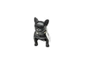 Paw Ew-paw Black Portable Speaker