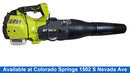 Ryobi Ry25axb Green Gas Leaf Blower