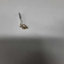 Symbol Pendant - Yellow Gold 10k (.417) 0.9 grams