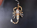 Pendant - Yellow Gold 18k (.750) 14.3 grams