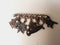 James Avery 4 Retired 2 Not Heart Pin/brooch, Girl & Boy, Poinsettia, 3d Tulip Flower ...