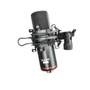 Scarlett Studio Cm 25 Mk Ii Black Corded Microphone