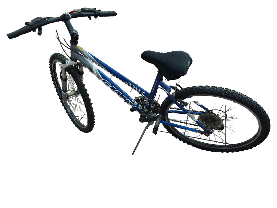 Giant Boulder Blue Mountain Bike