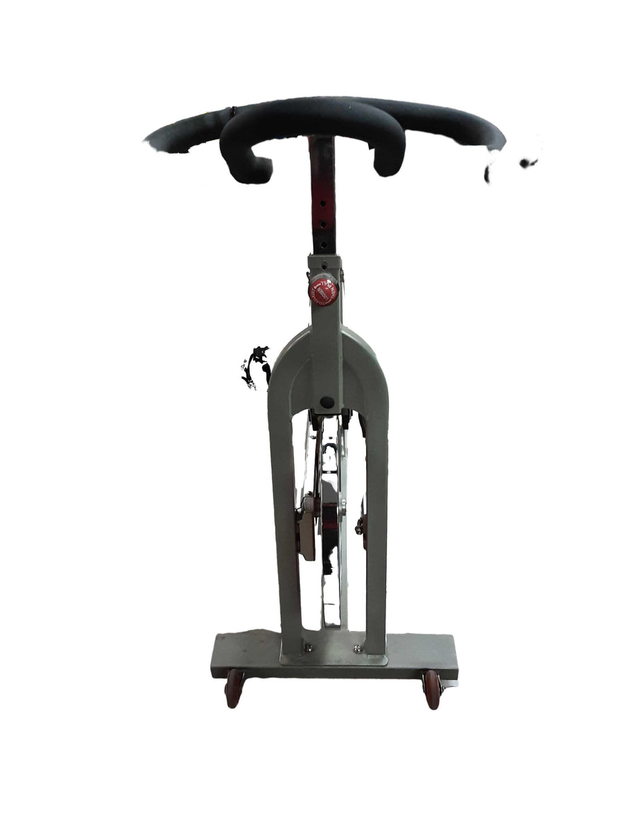 Sunny Fitness Pro Ii Gray