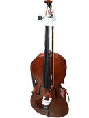 Cello None Seen Brown Cello