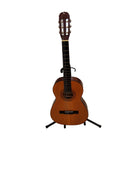 Vineyard Cg-1034 Beige / Tan Acoustic Classic Guitar