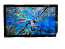 Philips/magnavox 40pfl4707/f7 Black Digital LCD TV