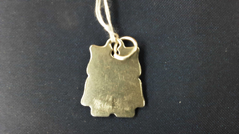 Descriptive Pendant Silver 2.1 grams