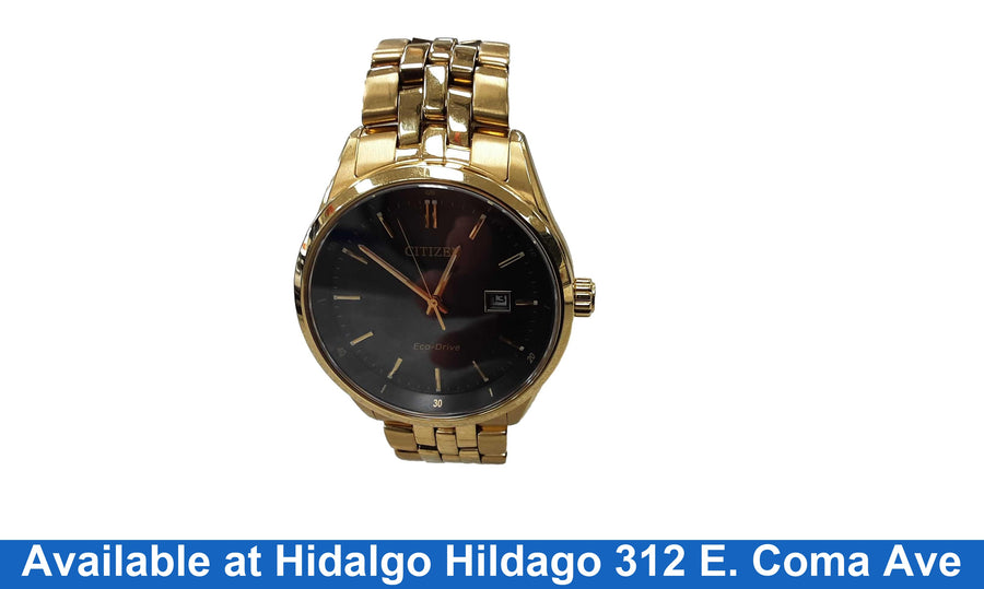 Citizen E111-r007301 Gold Regular Watch