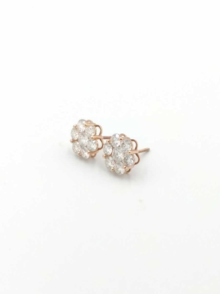 Earrings - Rose Gold 10k (.417) 2 grams