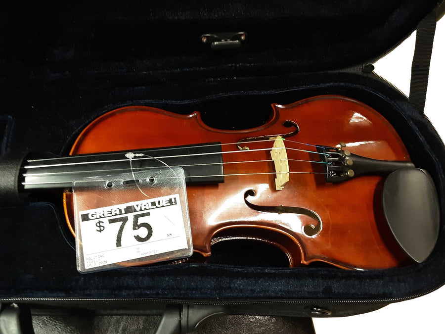 Palatino Na Brown Violin