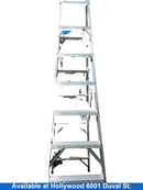 Werner 5764-06 Silver A-Frame Ladder