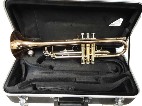 Giardinelli Gfl-301 Gold Flute