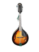 Washburn Om10ests Brown Mandolin